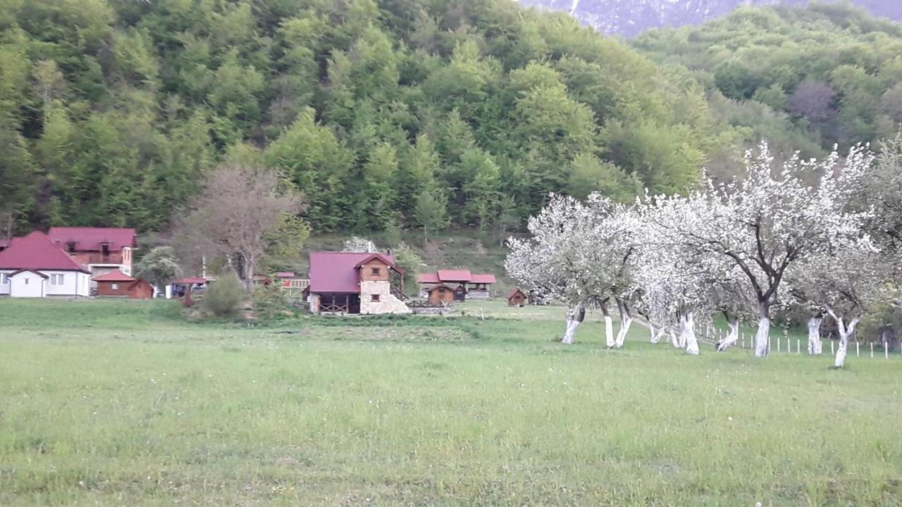 Camp &Apartmens Scepanovic Mojkovac Bagian luar foto
