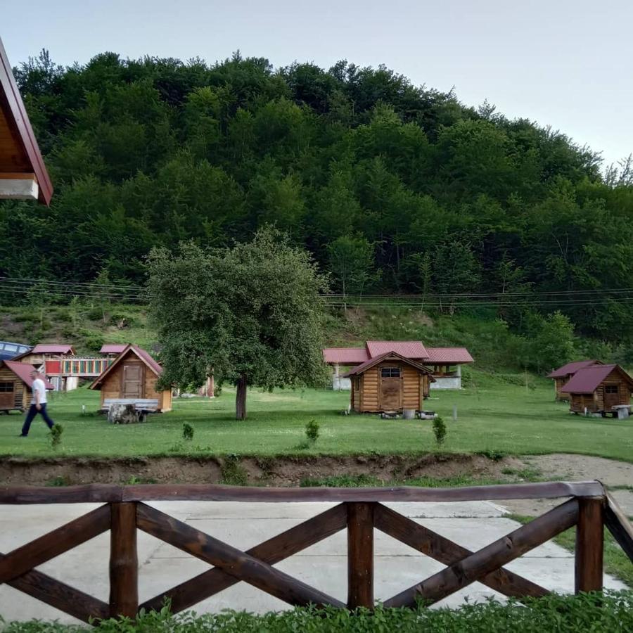 Camp &Apartmens Scepanovic Mojkovac Bagian luar foto