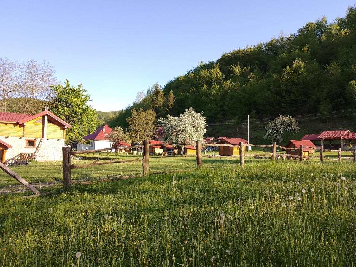 Camp &Apartmens Scepanovic Mojkovac Bagian luar foto