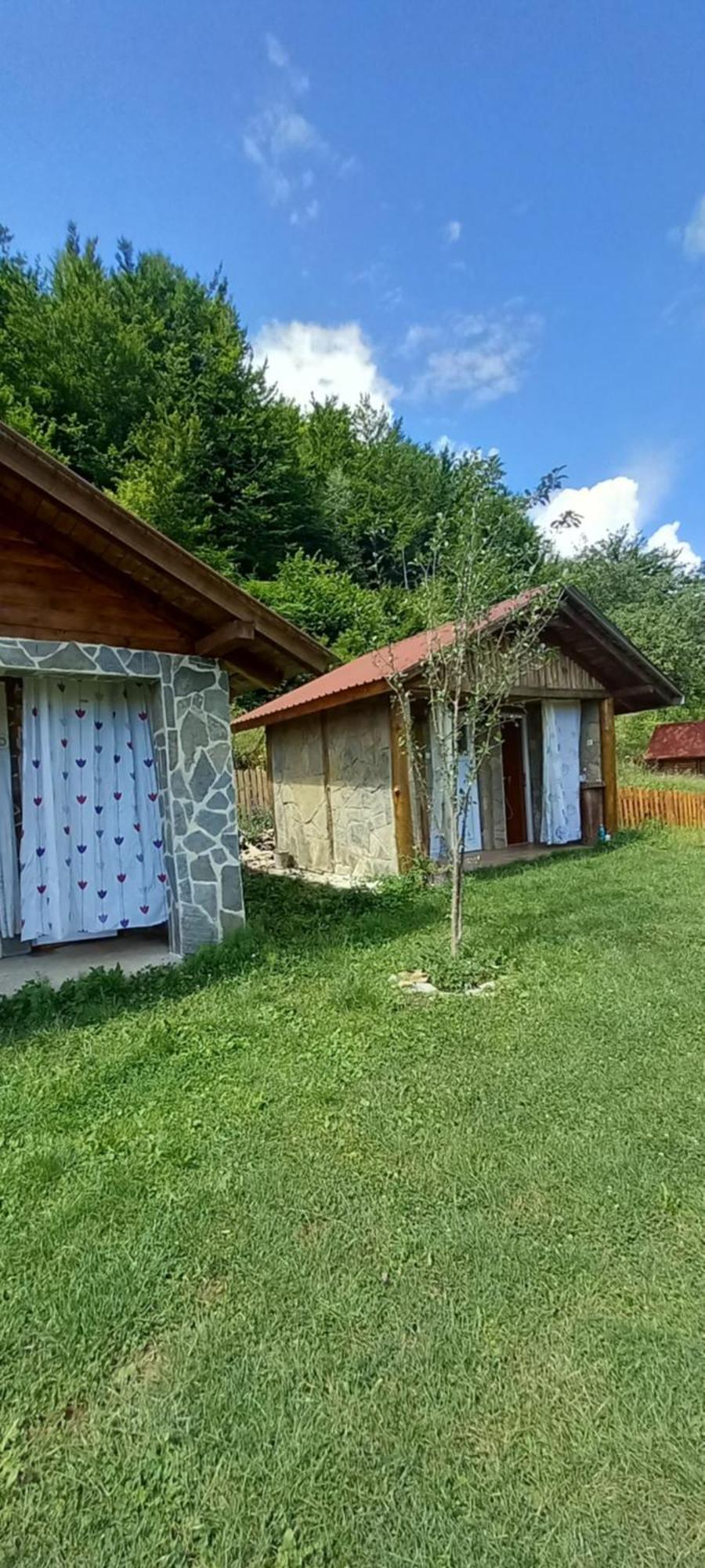 Camp &Apartmens Scepanovic Mojkovac Bagian luar foto