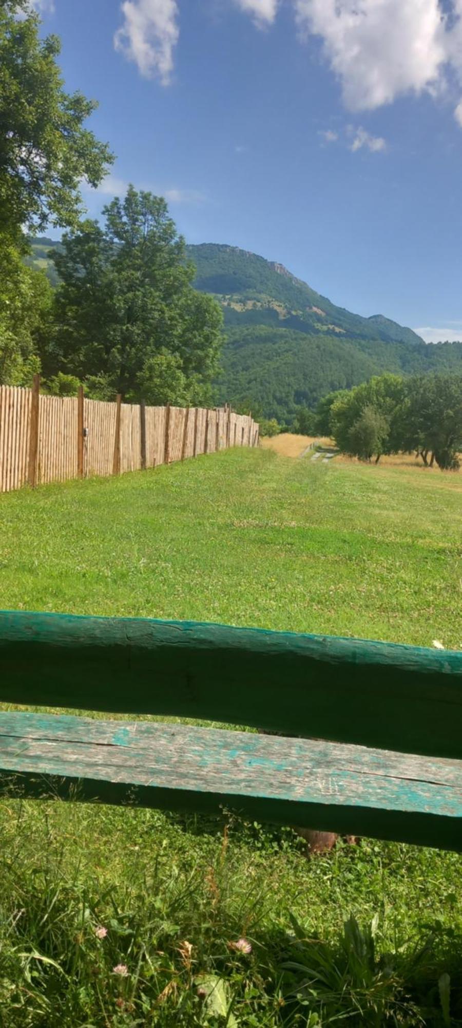 Camp &Apartmens Scepanovic Mojkovac Bagian luar foto